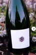 REVEL - Chanter la Poire