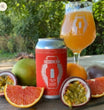 RORSHACH - Hedonism : Passionfruit Orange Guava