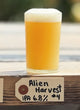 WOOD BROTHERS - Alien Harvest